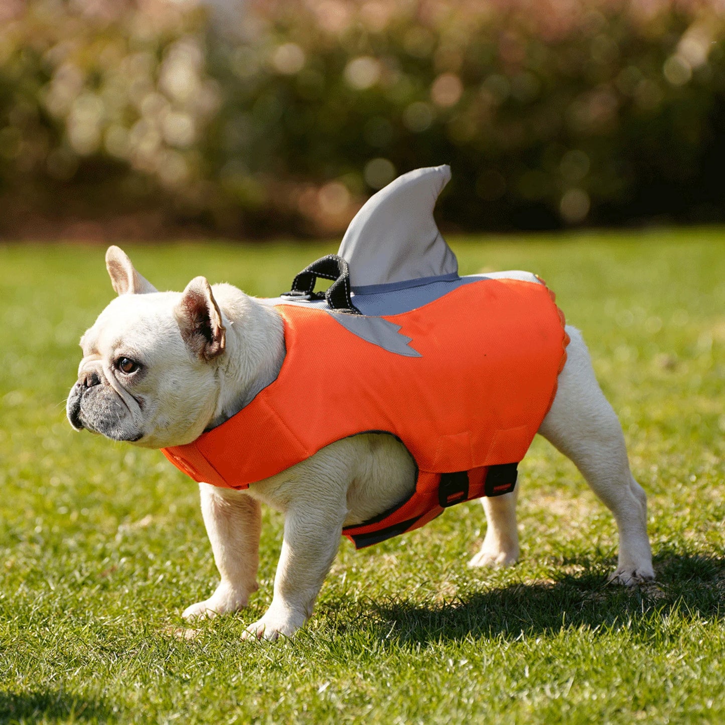 WANGUPET Dog Life Jacket High Buoyancy Vest With Rescue Handle