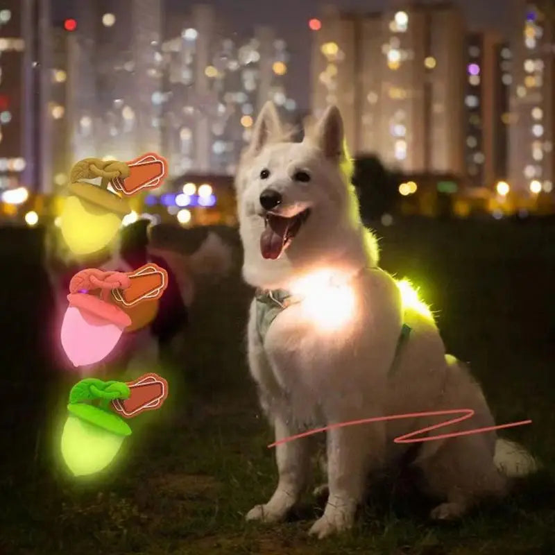 Dog Walking Light Waterproof Dog Collars Dog Lights Sturdy Collar Light Walking Light For Dog Walking Nighttime Running Biking