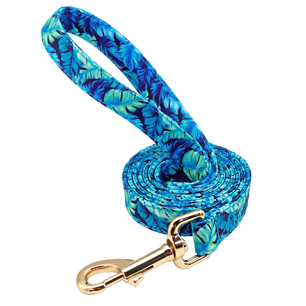 Personalized Nylon Dog Collar And Leash Set With Engraved Nameplate