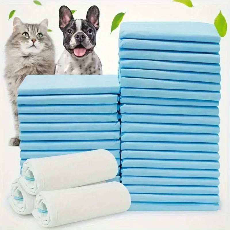 Disposable Dog Diapers And Training Pads For Odor Control