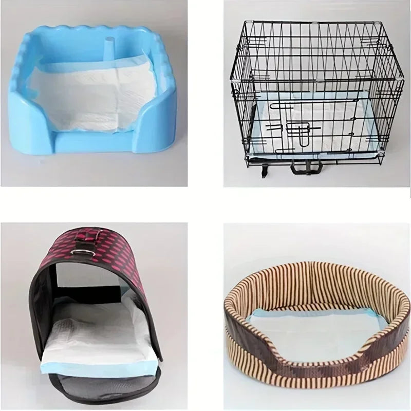 Disposable Dog Diapers And Training Pads For Odor Control