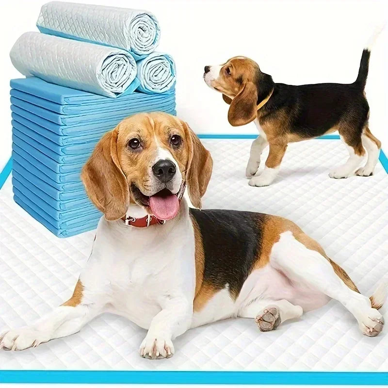 Disposable Dog Diapers And Training Pads For Odor Control