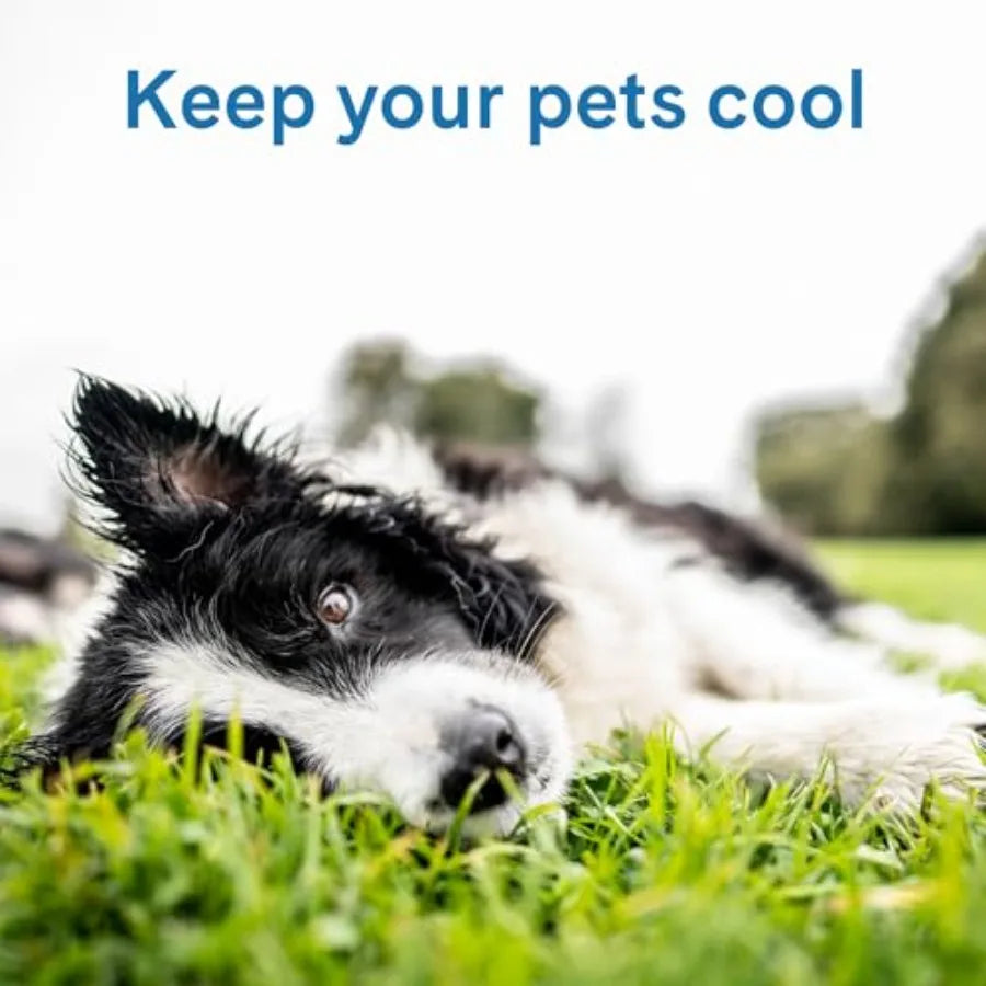 Cool Pet Pad Self Cooling Pressure Activated Mat For Pets