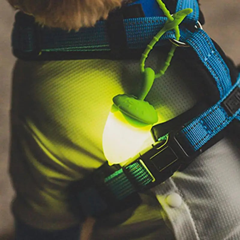 Dog Walking Light Waterproof Dog Collars Dog Lights Sturdy Collar Light Walking Light For Dog Walking Nighttime Running Biking