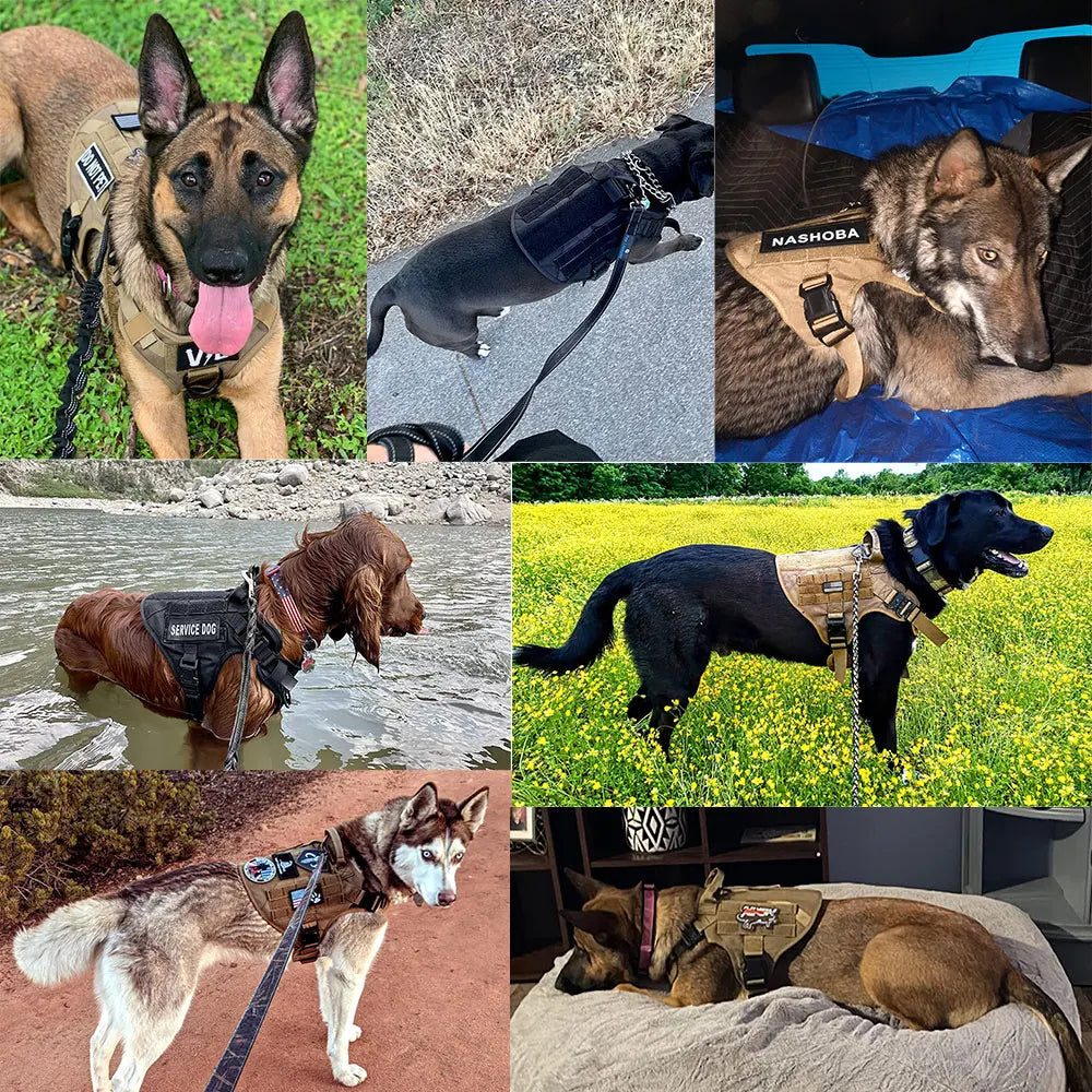 PETRAVEL Military Dog Harness Vest Set For Malinois Training